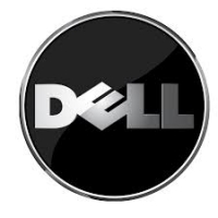 Dell 17 Inch Monitor