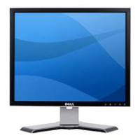 Dell 17 Inch Monitor